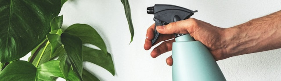 How to use UV Protection Spray on your Artificial Plants.