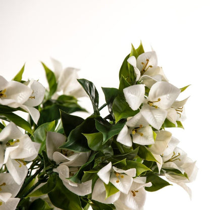 Hanging White Artificial Bougainvillea Plant UV Resistant 90cm close up of white flowers