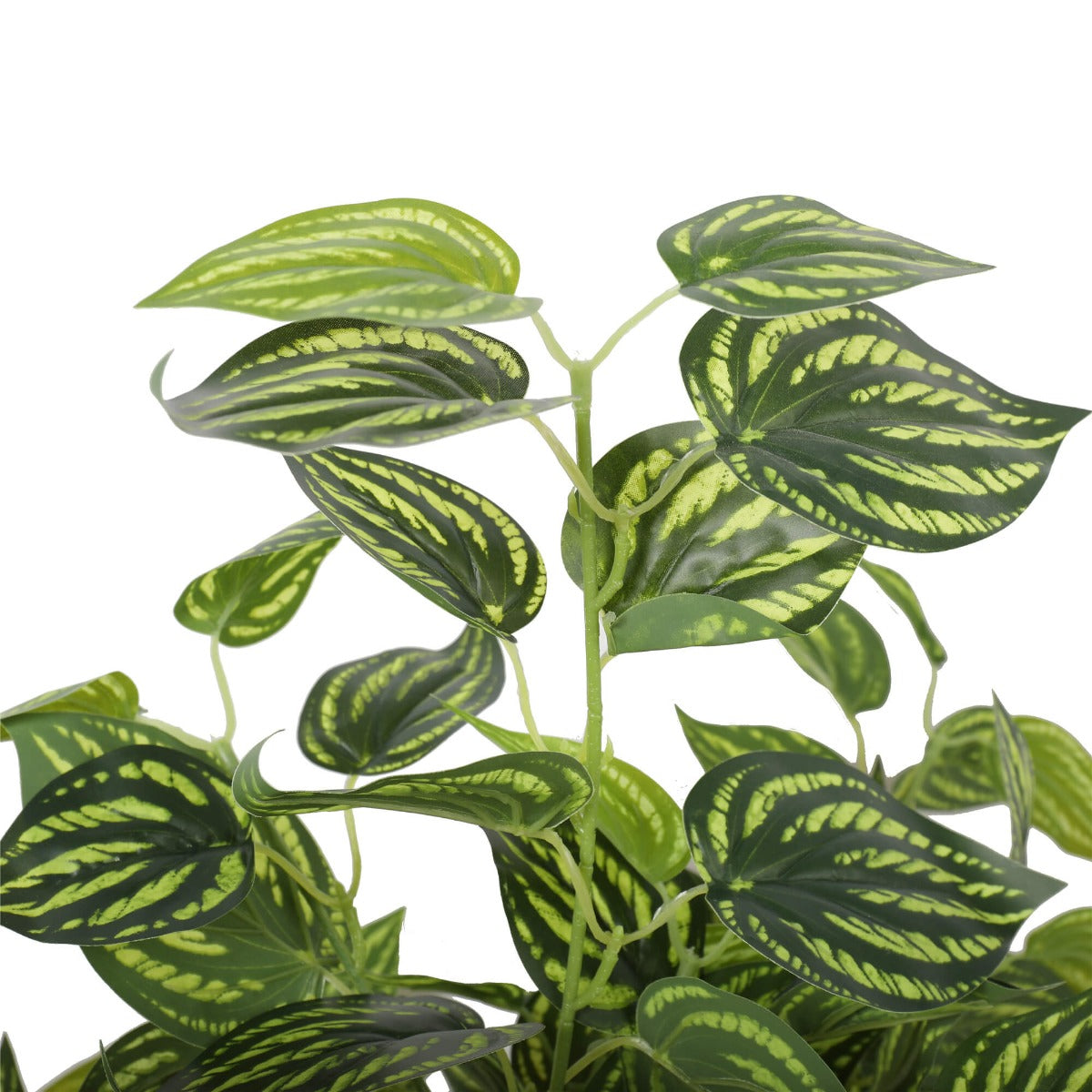 Lifelike 70cm Artificial Mixed Philodendron Plant