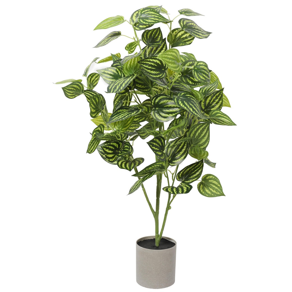 Lifelike 70cm Artificial Mixed Philodendron Plant