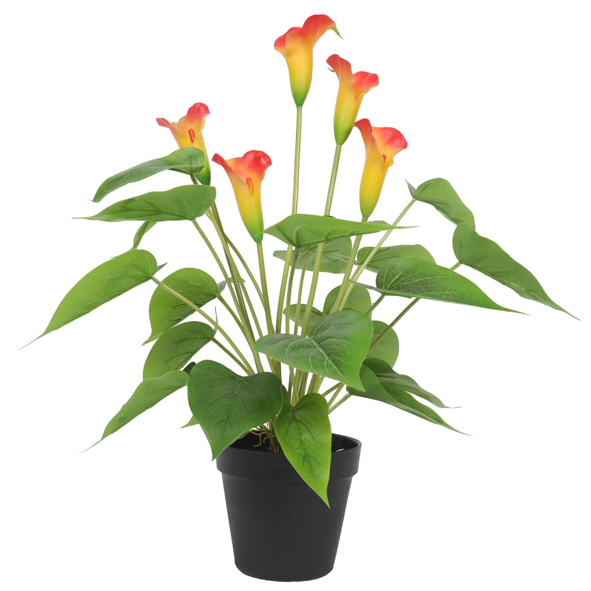 Lifelike 50cm White & Orange Artificial Calla Peace Lily