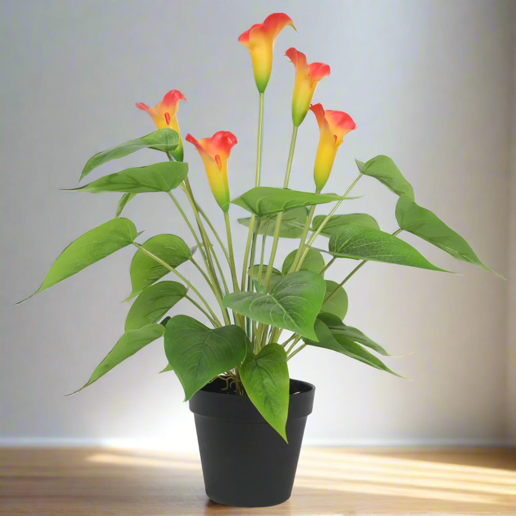 Lifelike 50cm White & Orange Artificial Calla Peace Lily