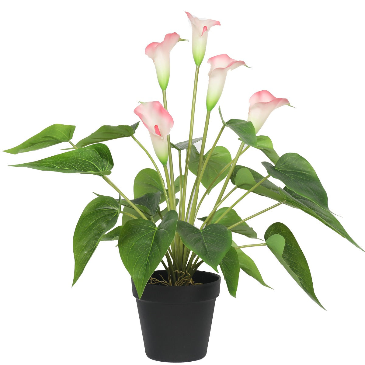 Lifelike 50cm White & Pink Artificial Calla Peace Lily