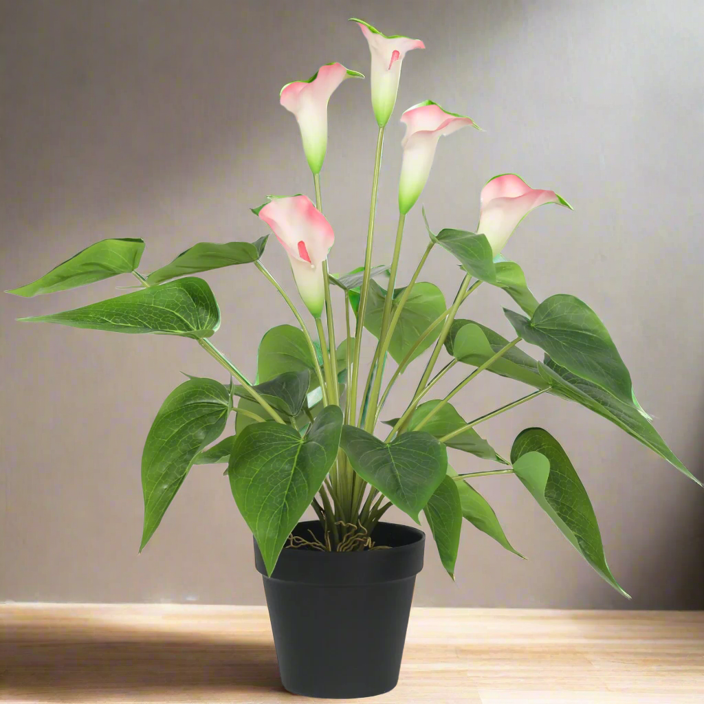 Lifelike 50cm White & Pink Artificial Calla Peace Lily