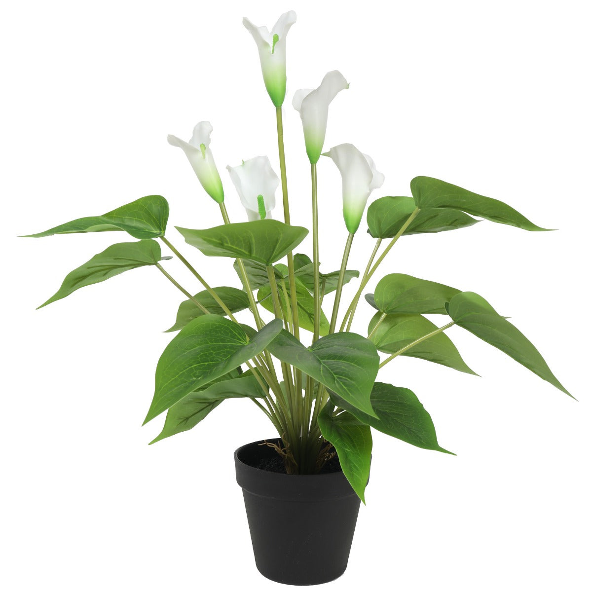 Lifelike 50cm White Flowering Artificial Calla Peace Lily