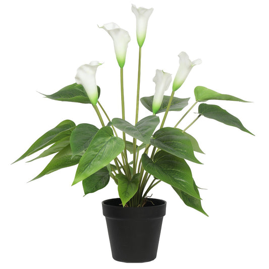 Lifelike 50cm White Flowering Artificial Calla Peace Lily