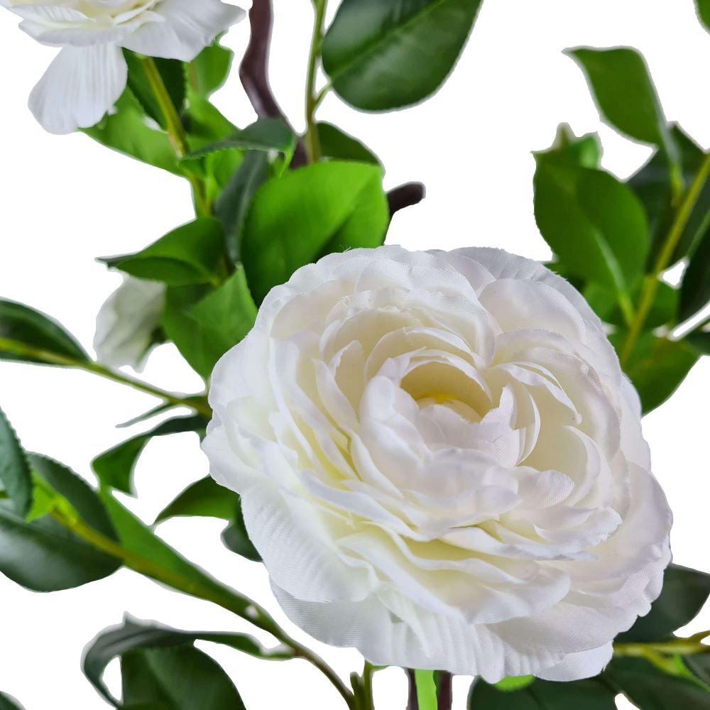 Flowering Natural White Artificial Camellia Tree 180cm Close up of white flower