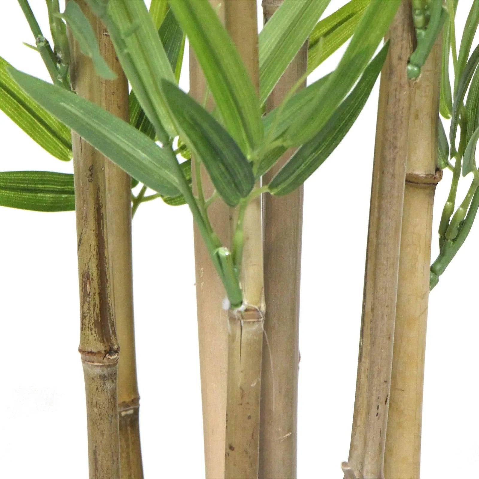 Lifelike 180cm Natural Bamboo Trunk Artificial Tree close up of trunks
