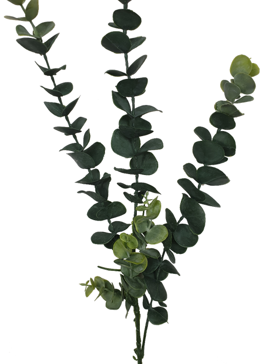 Lifelike 77cm Eucalyptus Artificial Stems - Pack of 5 Full view