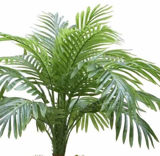 Lifelike 80cm Potted Phoenix Artificial Palm Close up of leaves