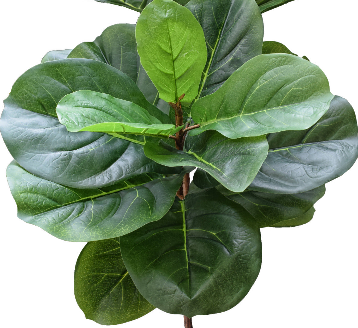 Lifelike 170cm Tall Fiddle Leaf Fig Artificial Tree