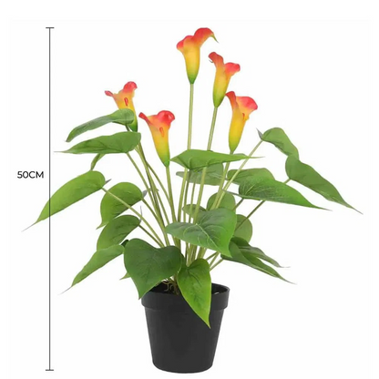 Lifelike 50cm White & Orange Artificial Calla Peace Lily