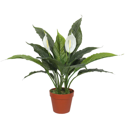 Artificial Spathiphyllum Peace Lily Plant with White Flowers 60cm Full view