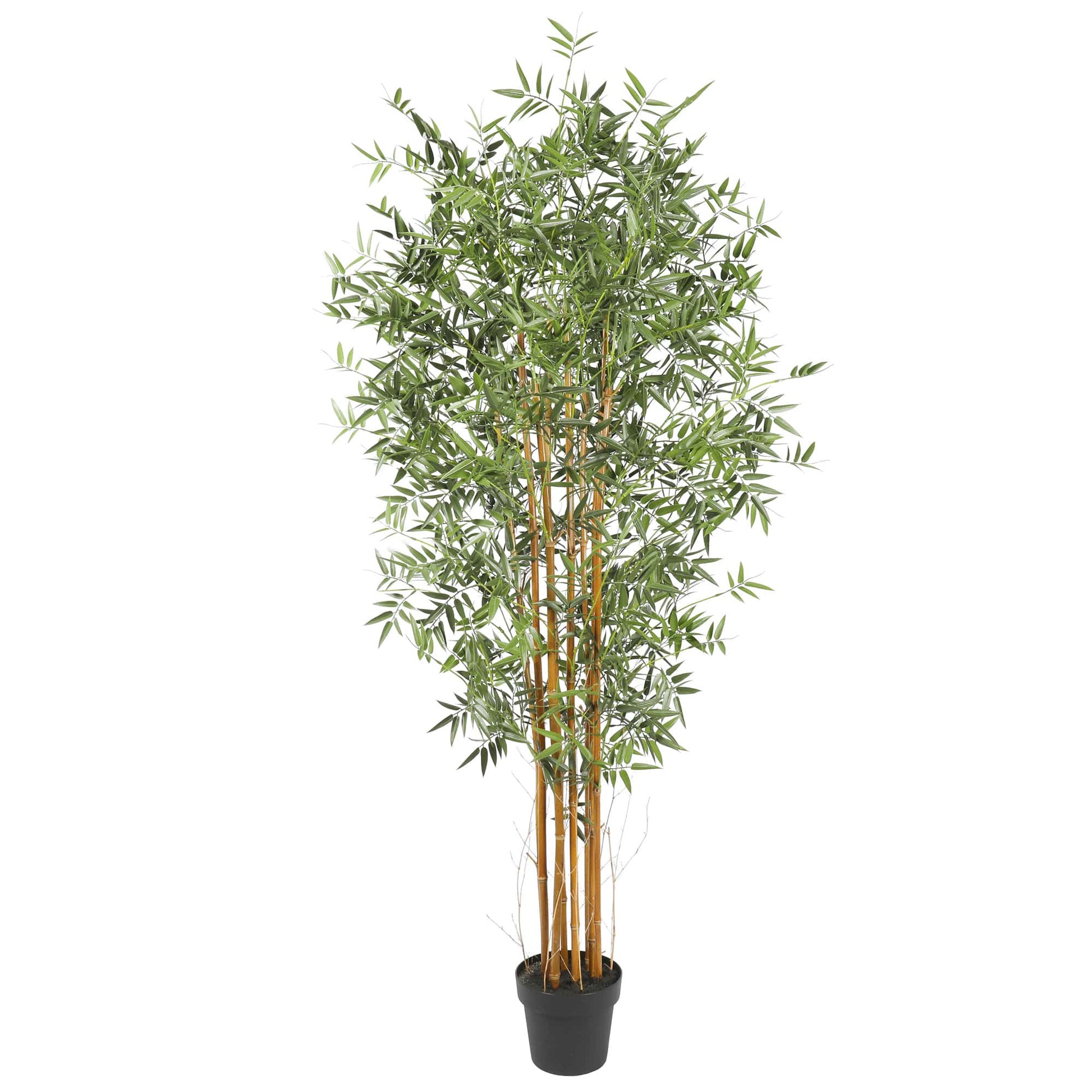 Premium Natural Cane Artificial Bamboo (UV Resistant) 180cm Full view