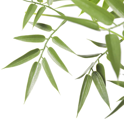 Premium Natural Cane Artificial Bamboo (UV Resistant) 180cm Close up of leaves