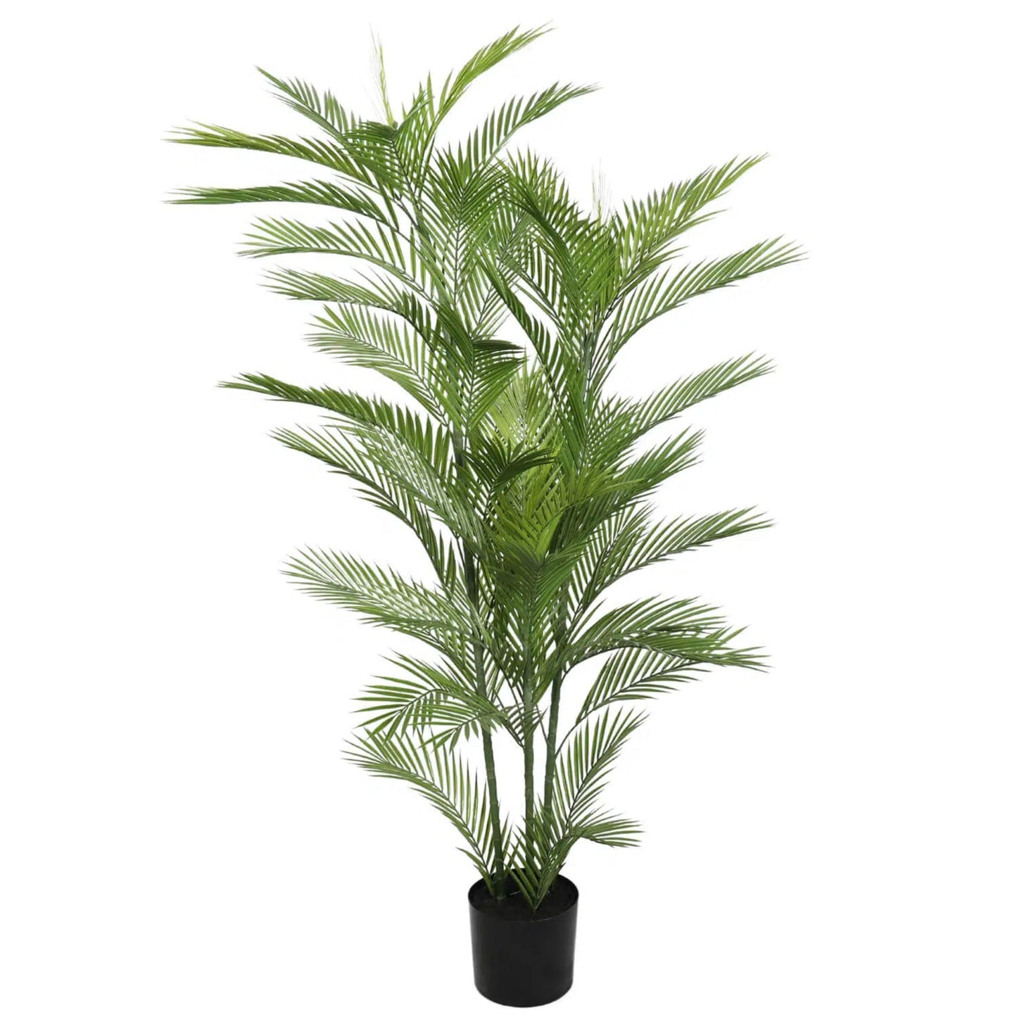 Real Touch Artificial Phoenix Palm Tree UV Resistant 180cm Full view