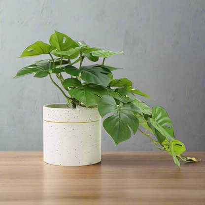 Lifelike 30cm Artificial Monstera in Decorative Pot