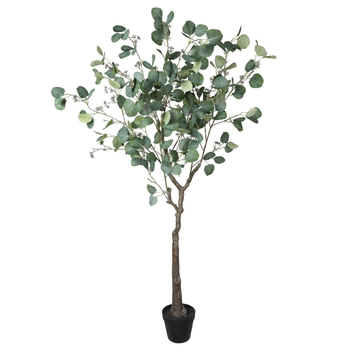 Artificial Eucalyptus Tree (Red Box Eucalyptus Polyanthemos) 150cm Full view