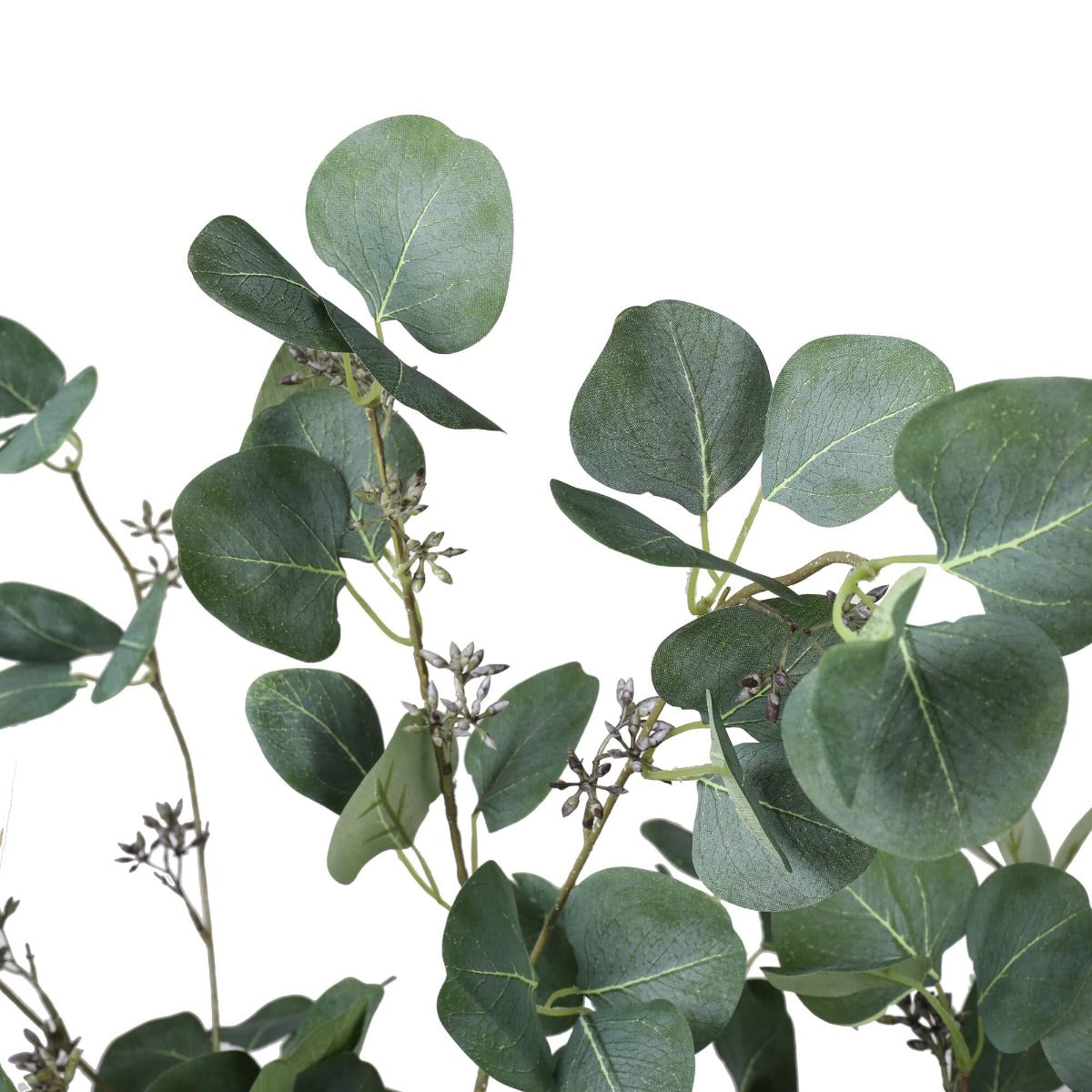 Artificial Eucalyptus Tree (Red Box Eucalyptus Polyanthemos) 150cm Close up of leaves