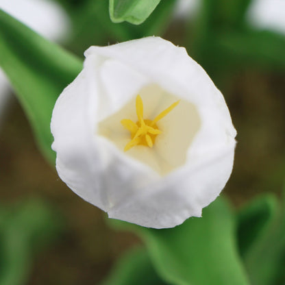 Flowering White Artificial Tulip Plant Arrangement With Ceramic Bowl 35cm close up of white flower