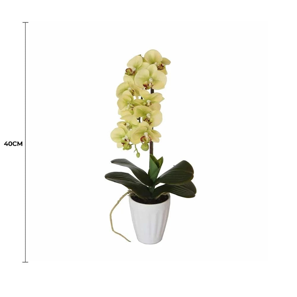 Lifelike 40cm Cream Butterfly Artificial Orchid in Decorative Pot Full view with measurement