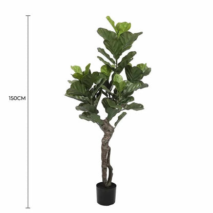 Lifelike 150cm Fiddle Leaf Fig Artificial Tree Full view with measurements