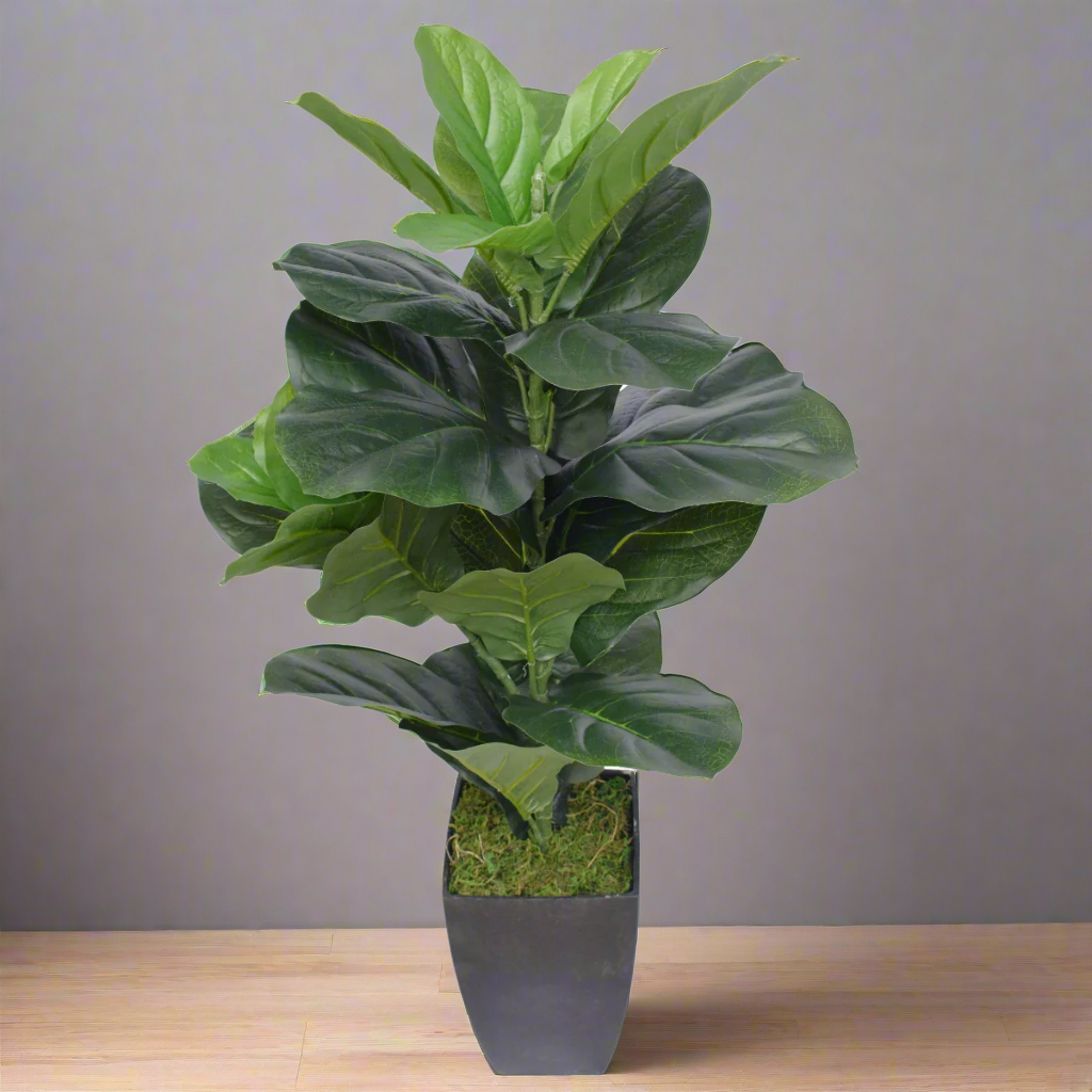 Lifelike 70cm Fiddle Leaf Fig Artificial Tree in Decorative Pot