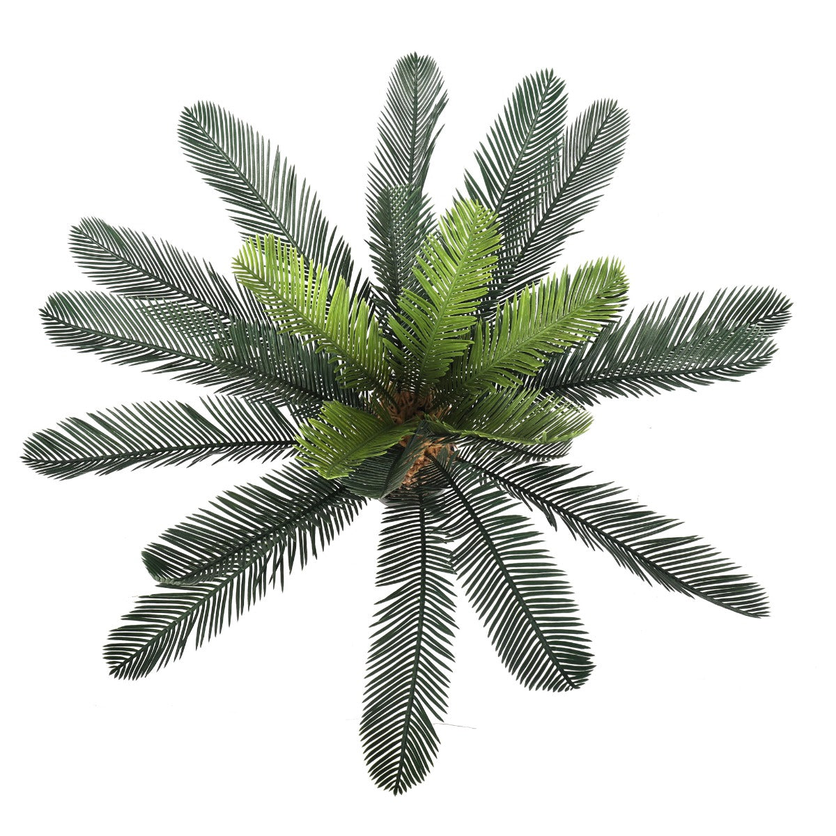 Lifelike 60cm Artificial Cycad Plant