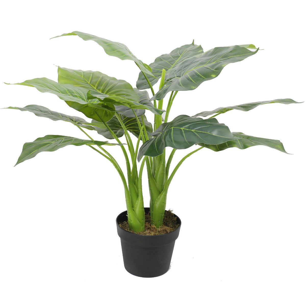 Artificial Potted Taro Plant / Elephant Ear 70cm full view