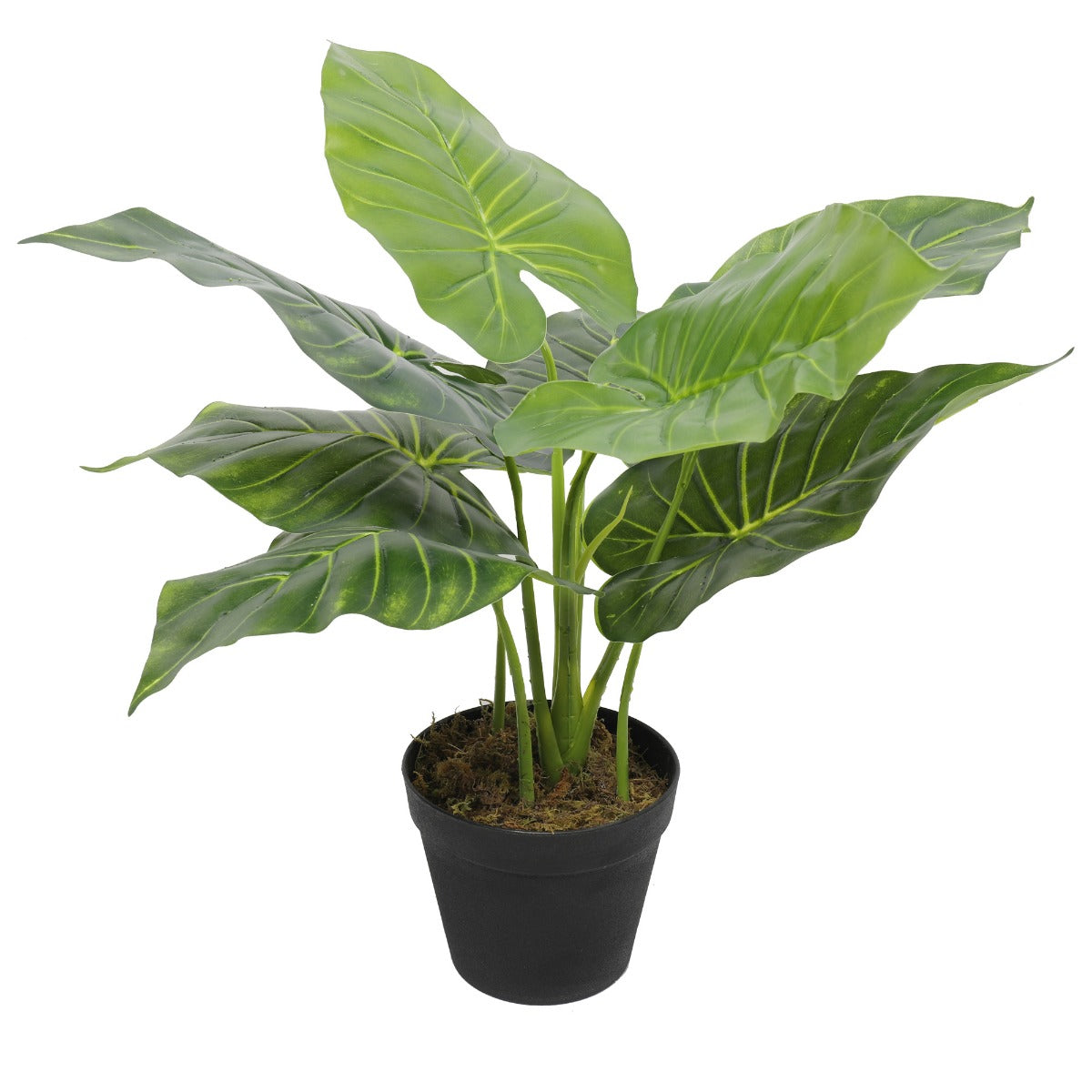 Lifelike 55cm Taro Plant Elephant Ear Artificial Plant Full View