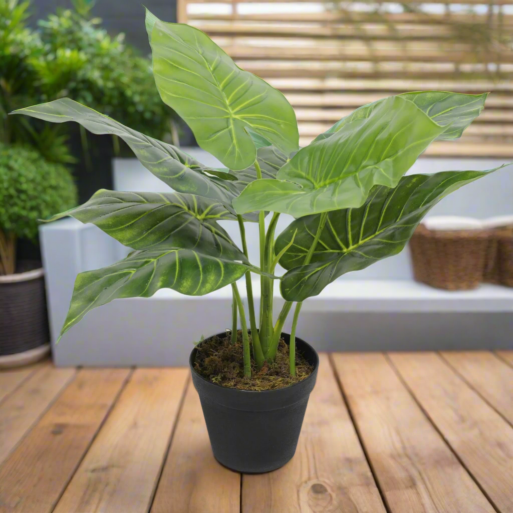 Lifelike 55cm Taro Elephant Ear Artificial Plant