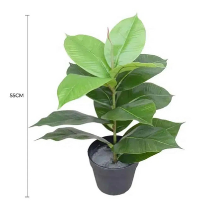 Lifelike 55cm Artificial Rubber Plant