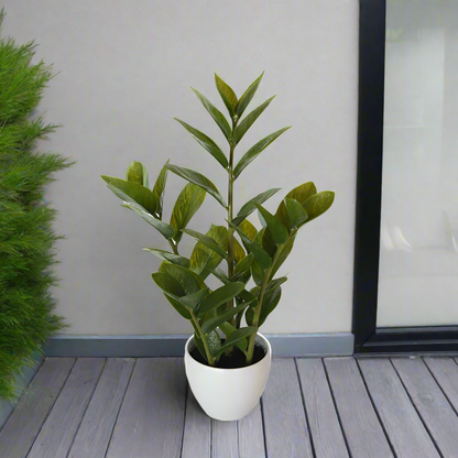 Lifelike 60cm Zanzibar Artificial Plant in Decorative Pot