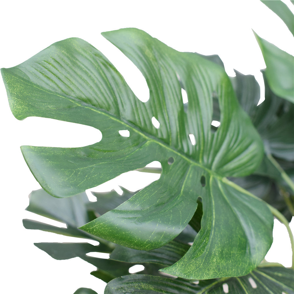 Potted Split Philodendron (Monstera) 40 cm close up of leaves