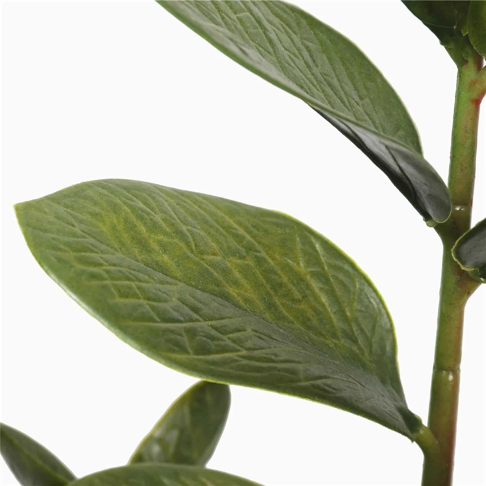  Lifelike 72cm Multi Stem Zanzibar Artificial Plant in Decorative Pot Close up of leaves