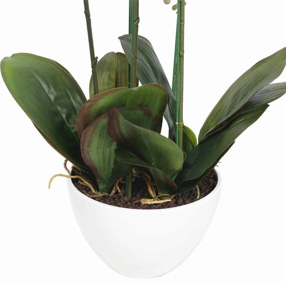 Lifelike 66cm Pink Multi Stem Butterfly Artificial Orchid in Decorative Pot White pot and leaves close up