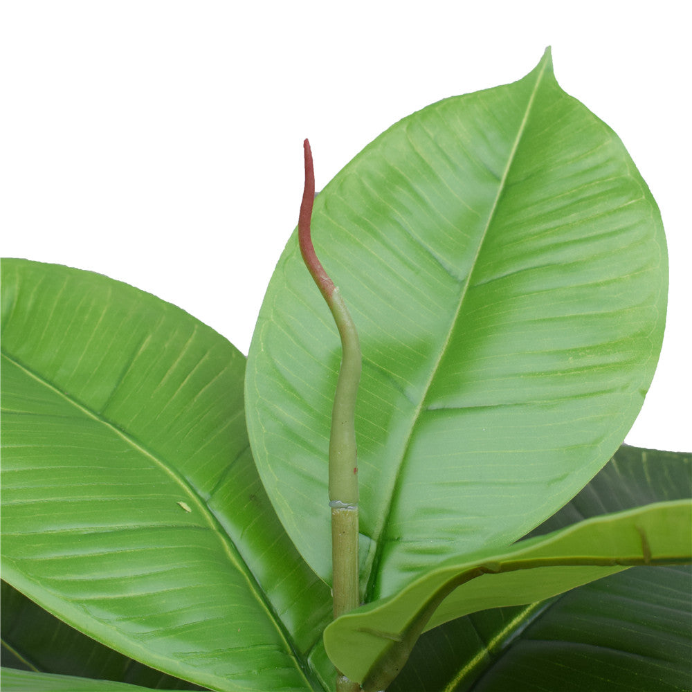 Lifelike 55cm Artificial Rubber Plant