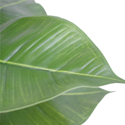 Lifelike 55cm Artificial Rubber Plant