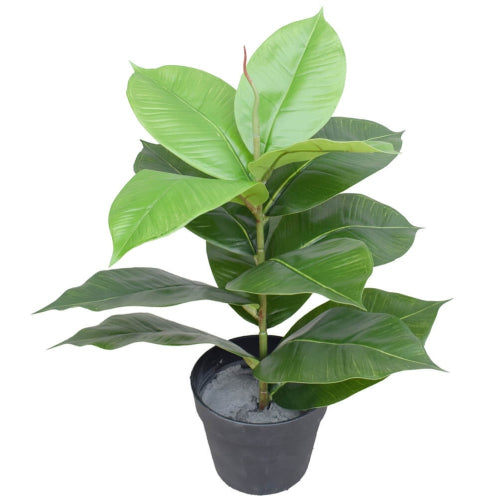 Lifelike 55cm Artificial Rubber Plant