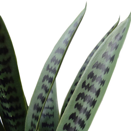 Lifelike 60cm Artificial Snake Plant UV Resistant