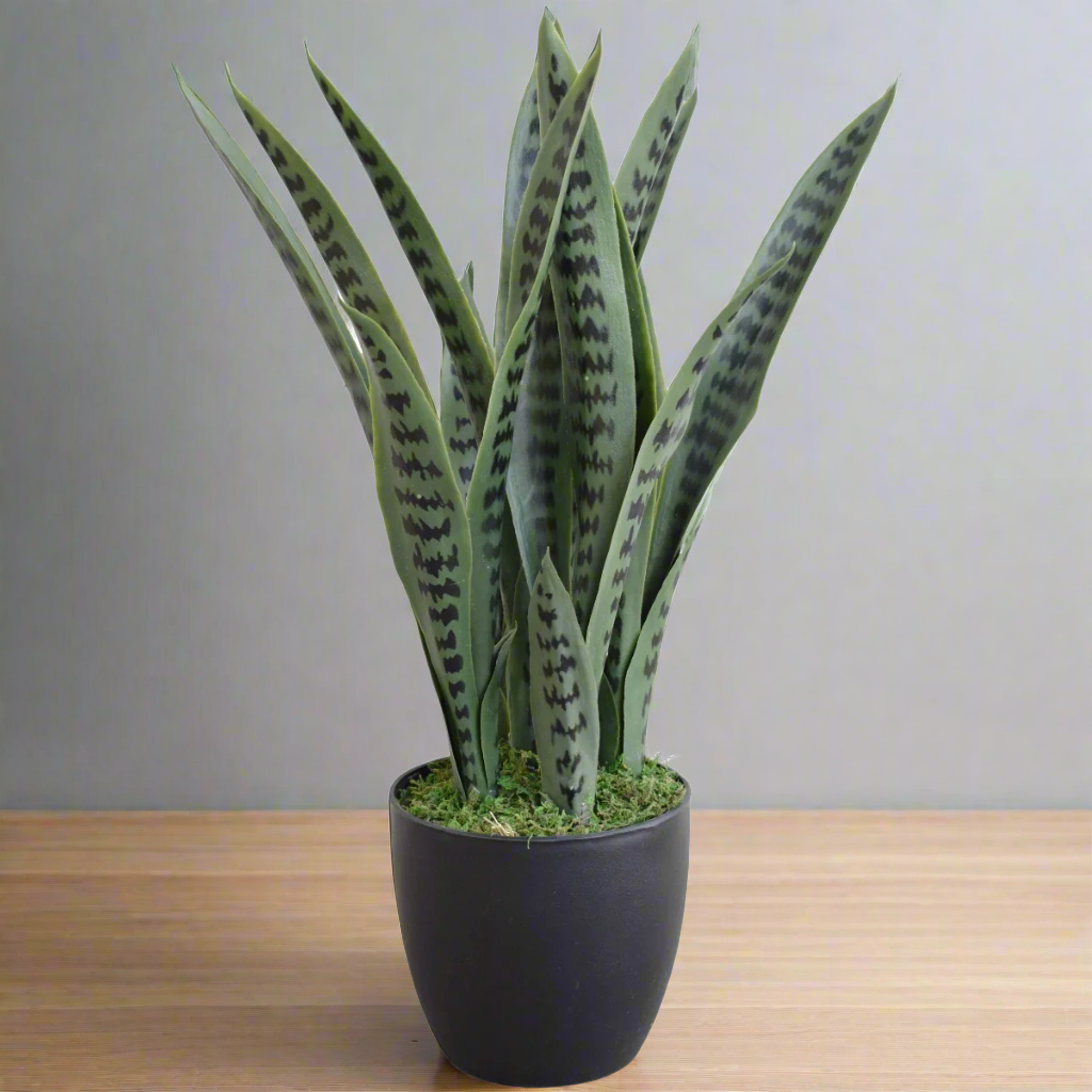 Lifelike 60cm Artificial Snake Plant UV Resistant