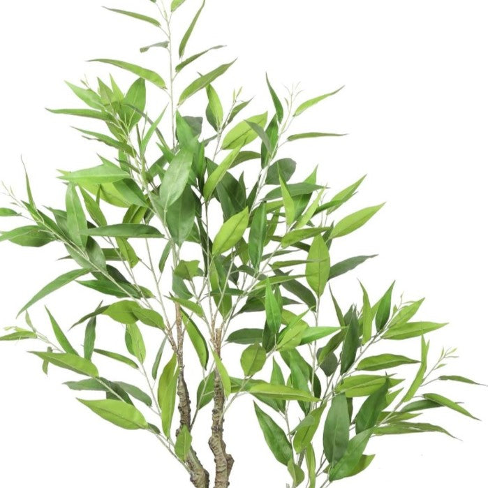 Potted Artificial Eucalyptus Tree (White Box Eucalyptus Albens) 120cm Top view of tree