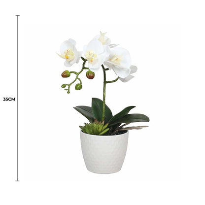 Lifelike 35cm White Single Stem Artificial Orchid in Decorative Pot full view with measurement