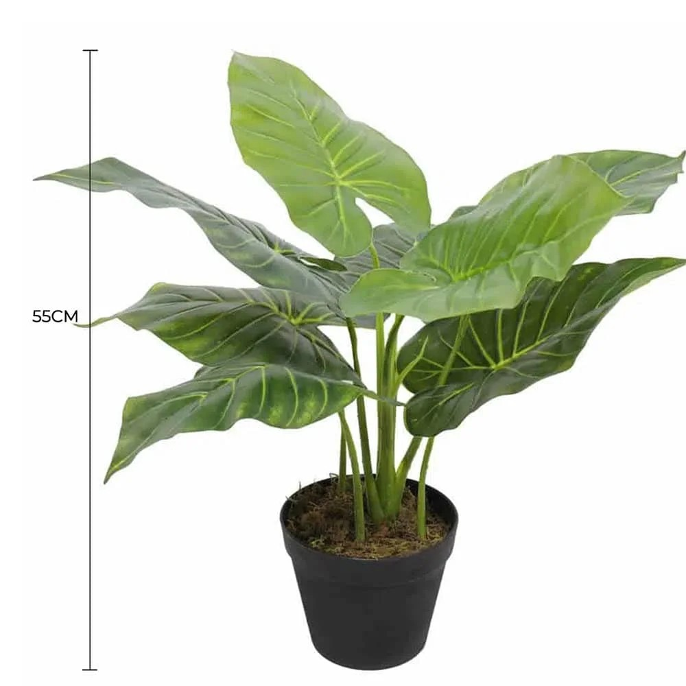 Lifelike 55cm Taro Plant Elephant Ear Artificial Plant Full view with measurement