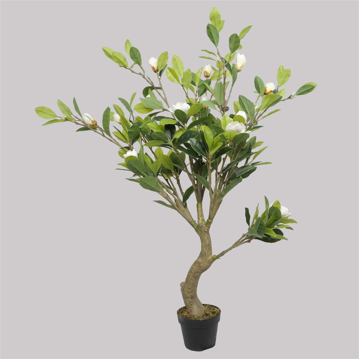 Artificial White Flowering Magnolia Tree with Pot 130cm Full view