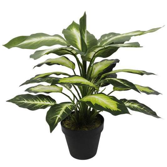 Lifelike Leopard Lily Artificial Plant (Dieffenbachia) with Pot 40cm Full view