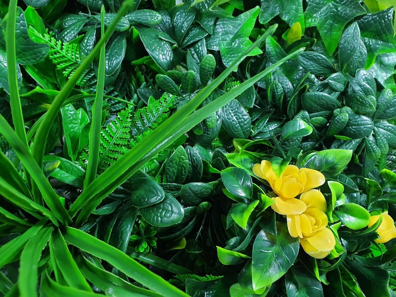 Lifelike Yellow Rose Artificial Vertical Green Wall UV Resistant Sample 25cm x 25cm Close up of green wall