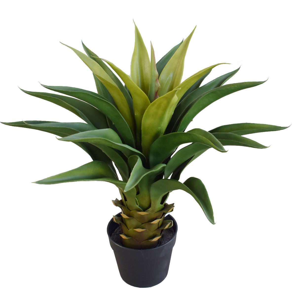 Lifelike 60cm Agave Artificial Plant Full view