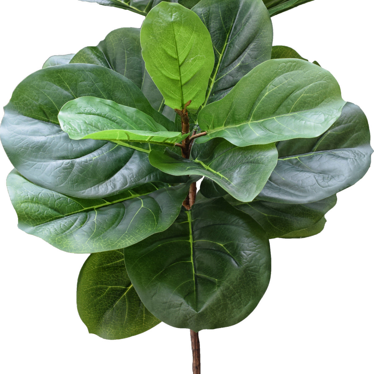 Tall Artificial Fiddle Leaf Fig 170cm close up of leaves