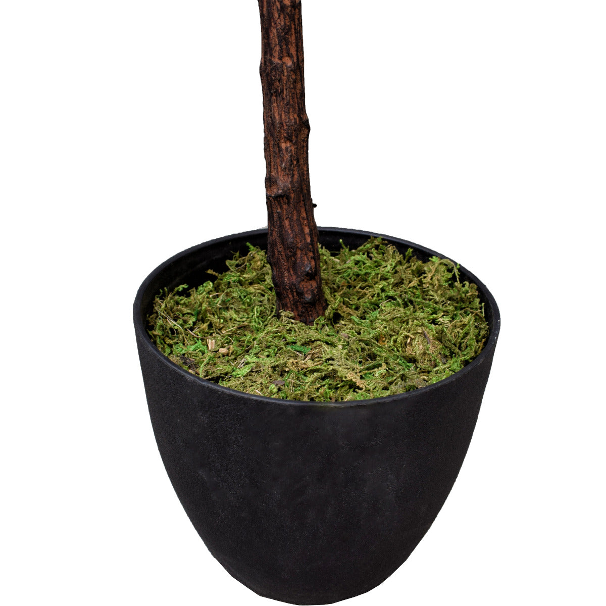 Tall Artificial Fiddle Leaf Fig 170cm black pot view